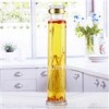 人參鹿茸泡酒瓶養(yǎng)生酒瓶工藝酒瓶